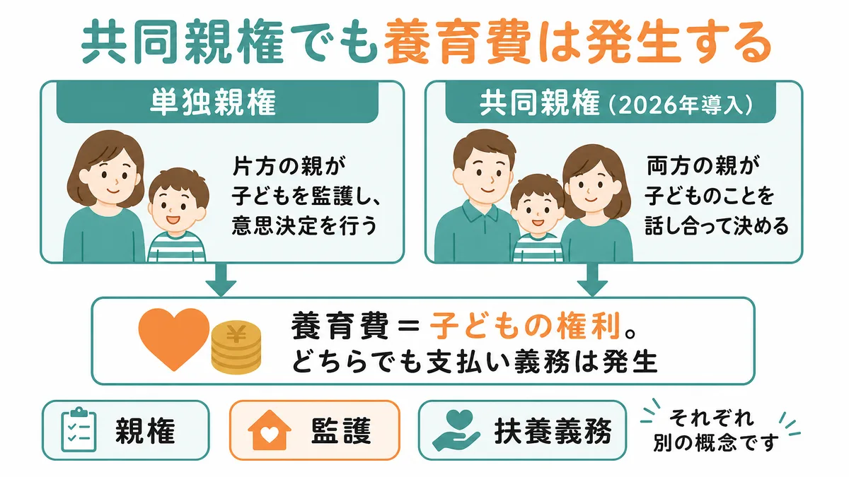 共同親権でも養育費は発生する 単独親権と共同親権(2026年導入)のどちらでも養育費の支払い義務があることを示す図解